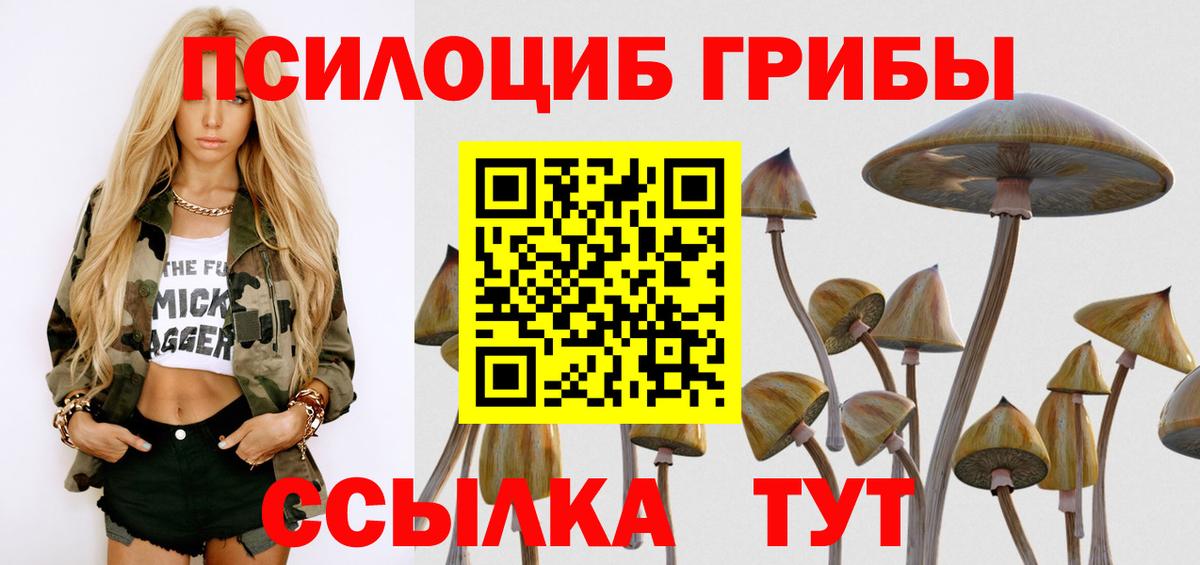 Псилоцибиновые грибы ЛСД Новоалександровск