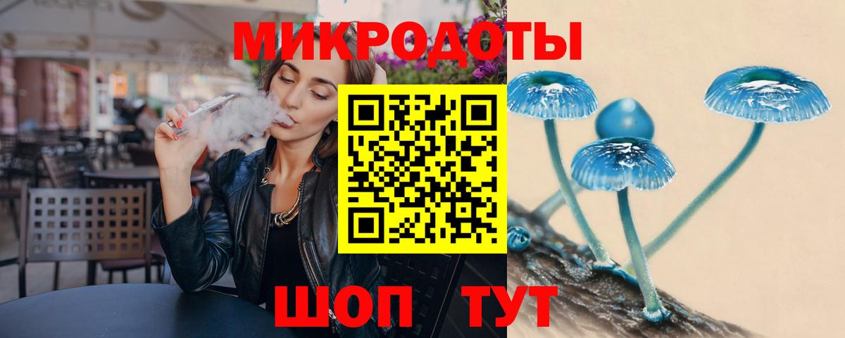 закладки  Псилоцибиновые грибы Psilocybine cubensis  Вход с VPN  Псилоцибиновые грибы GOLDEN TEACHER  Новоалександровск 